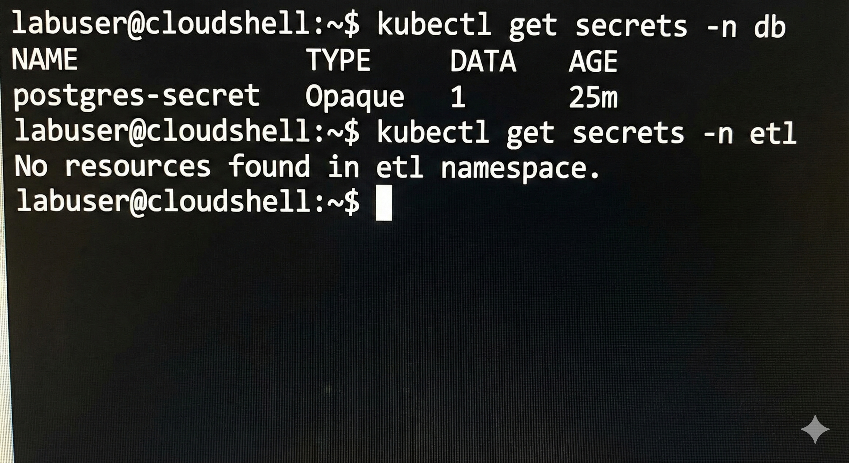 terminal-showing-secrets.png